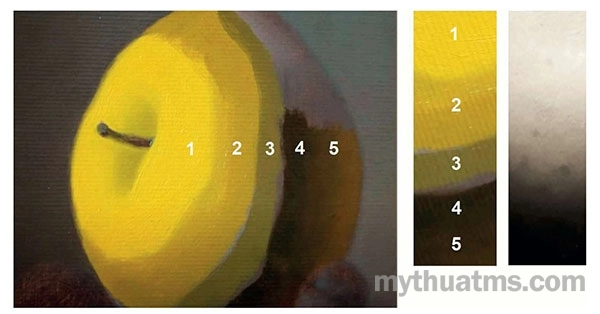 nguyen tac pha tron mau sac 7