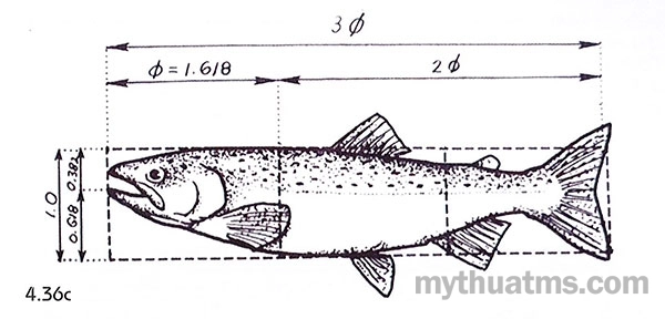 nguyen tac 16