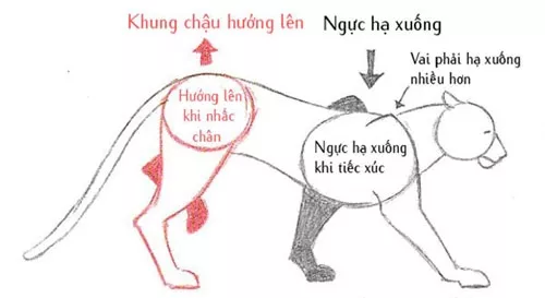 dong vat 1