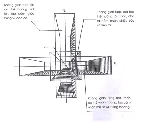 tao hinh 41