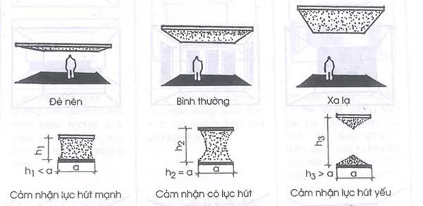 tao hinh 42