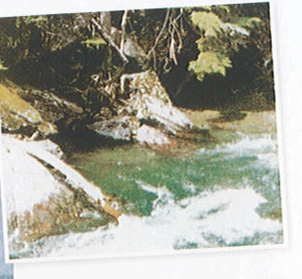 tranh phong canh co nuoc 34
