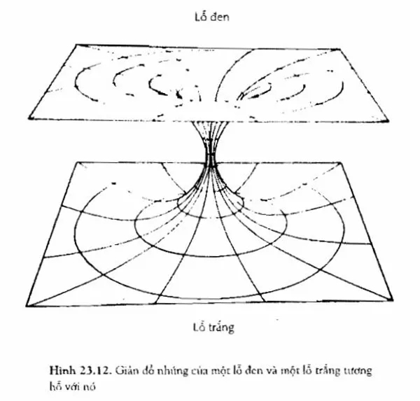 trong luong 12