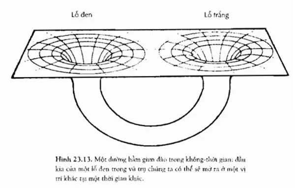 trong luong 13