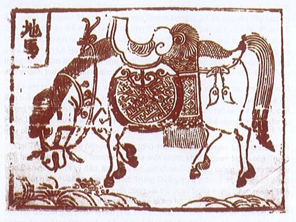 tao hinh ngua 27