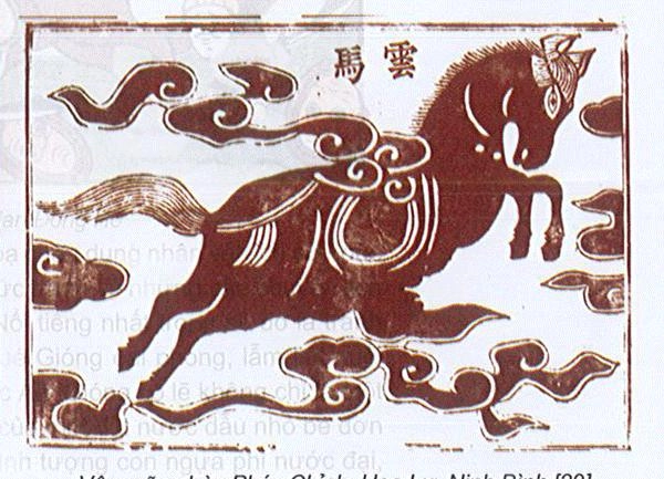 tao hinh ngua 31