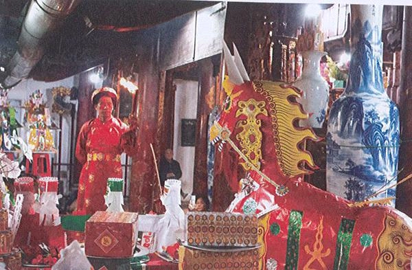 tao hinh ngua 40