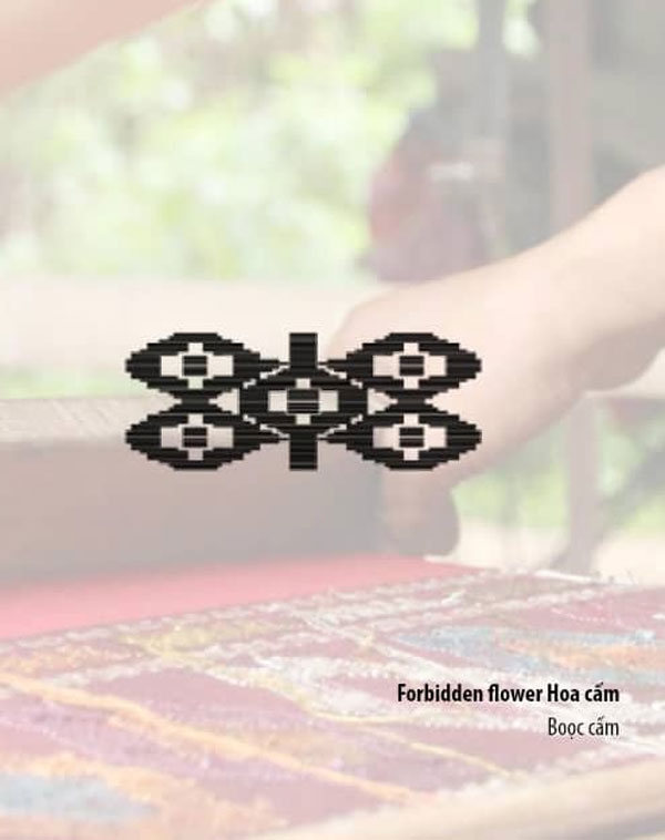 hoa van thai 46