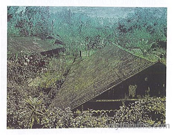 tranh khac go pha ban 4