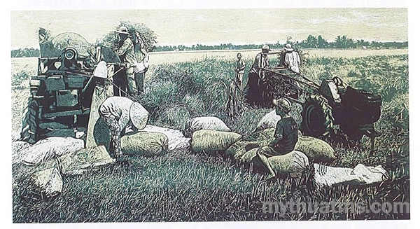 tranh khac go pha ban 6