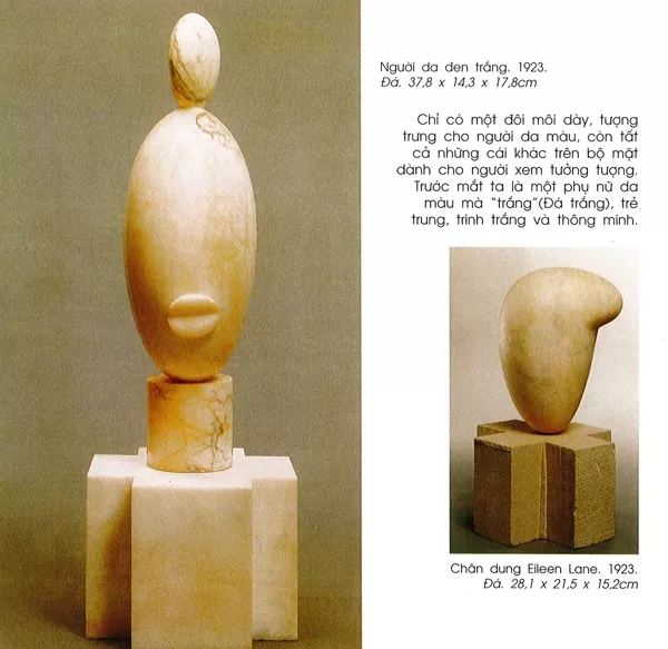 danh hoa brancusi 10