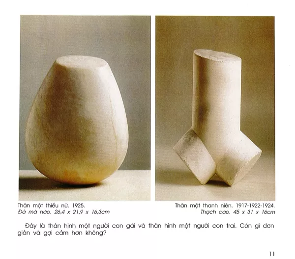 danh hoa brancusi 11