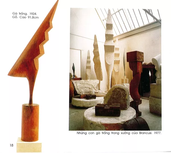 danh hoa brancusi 18