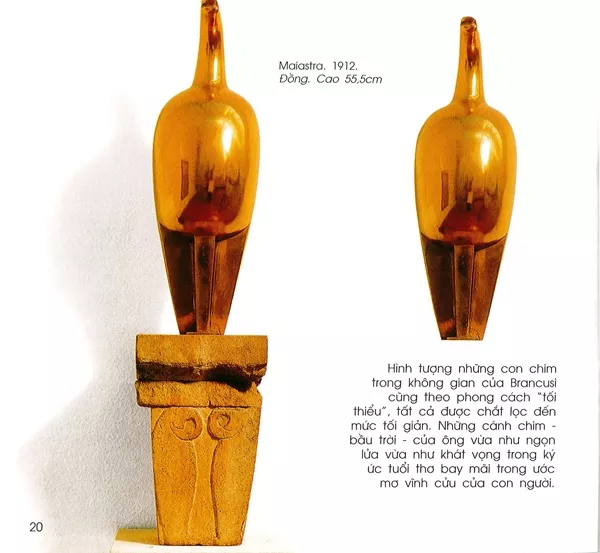 danh hoa brancusi 20