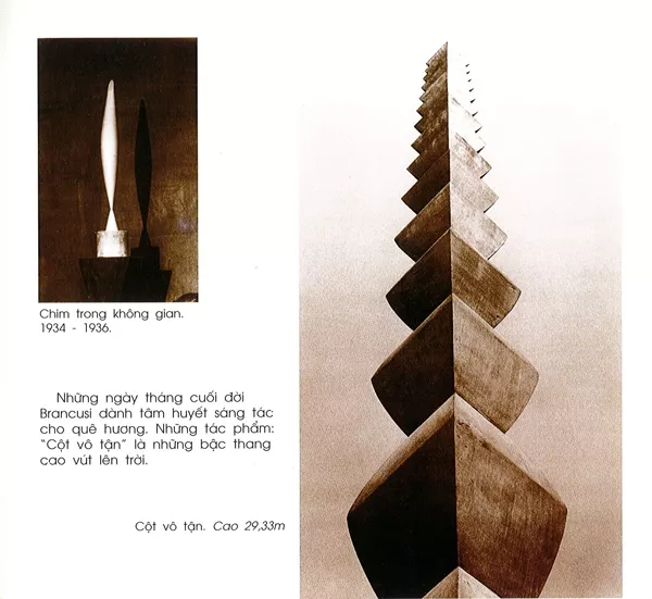 danh hoa brancusi 23