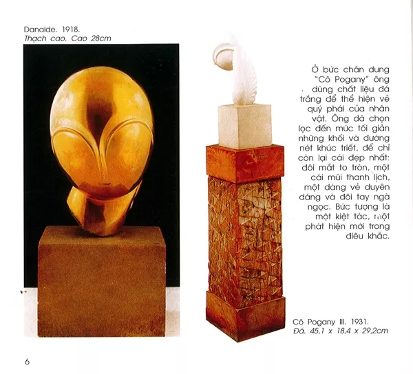 danh hoa brancusi 6