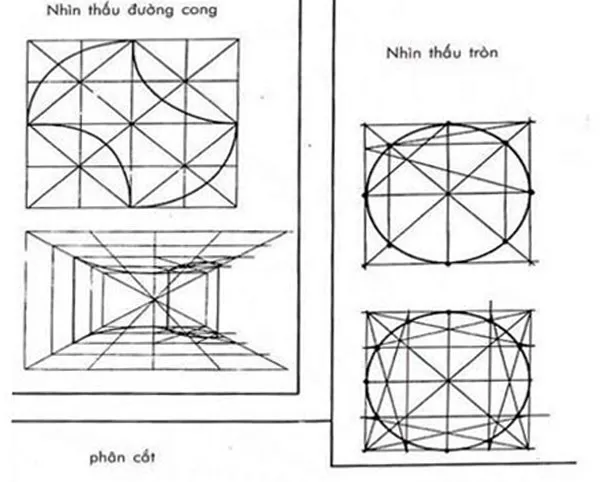 thiet ke 7