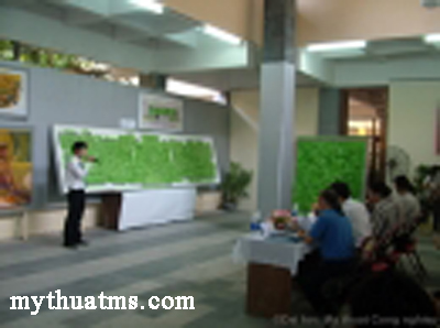 anh nganh hoanh trang 7