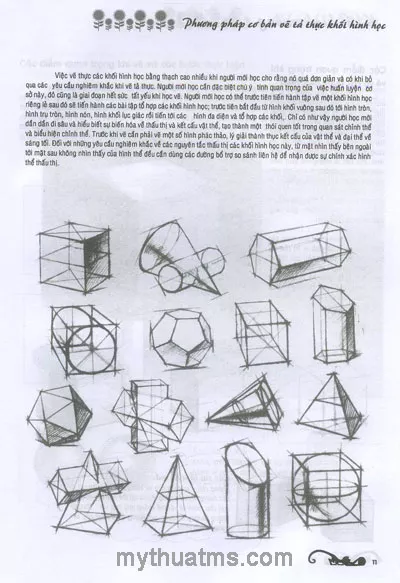 Các hình kỷ hà thạch cao 12