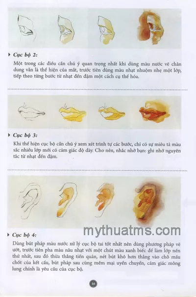 Chân dung màu sắc 16