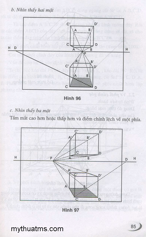 luat xa gan 81