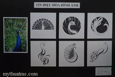 tin hieu hoa hinh ảnh 11