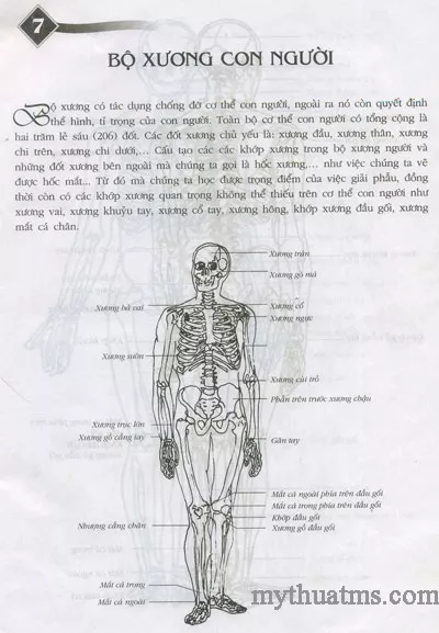 ve ket cau nguoi sach TQ 14