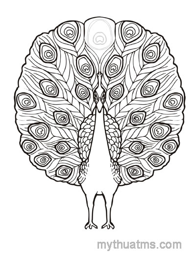 440 Gambar Burung Merak Yang Belum Diwarnai HD Terbaik