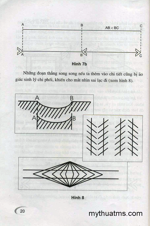 luat xa gan 17