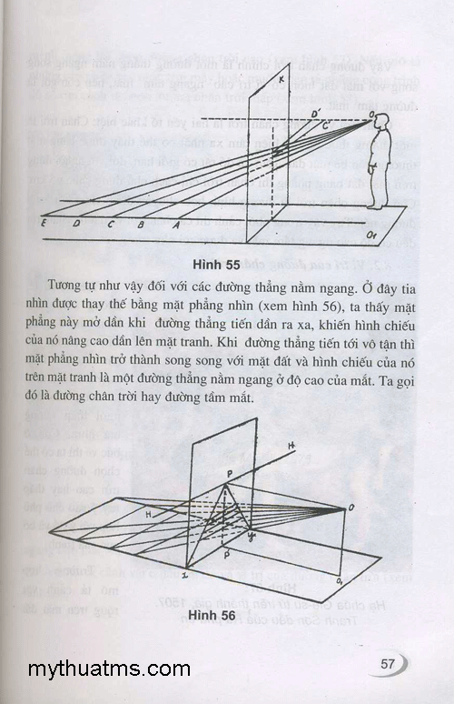 luat xa gan 53