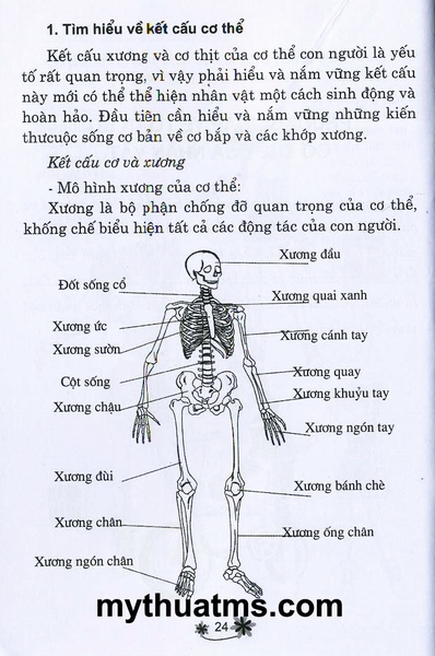 ve truyen tranh 24