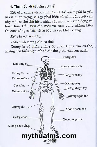 ve truyen tranh 24