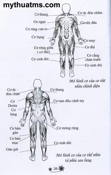 ve truyen tranh 26