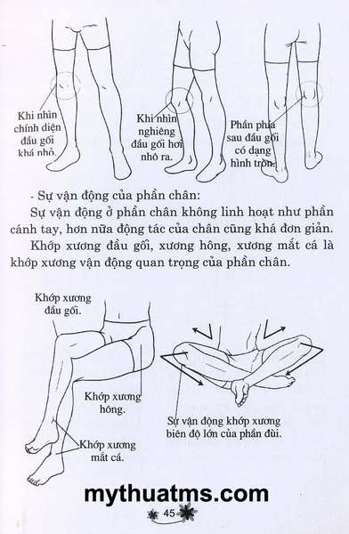 ve truyen tranh 45