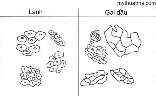 tranh son dau 7